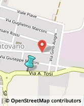 Autofficine e Centri Assistenza,46017Mantova