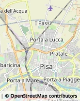 Via Palestro, 39,56124Pisa