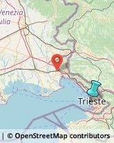 Disinfezione, Disinfestazione e Derattizzazione,34124Trieste