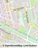 Viale Europa, 55,58100Grosseto