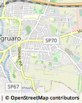 Via Sardegna, 22/G,30026Portogruaro