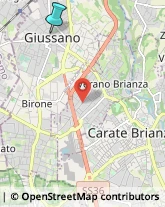 Palestre e Centri Fitness,20833Monza e Brianza