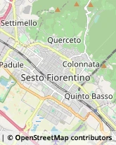 Via Ippolito Nievo, ,50019Sesto Fiorentino