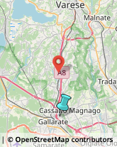 Palestre e Centri Fitness,21013Varese