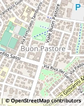 Viale Buon Pastore, 246,41124Modena