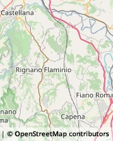 Via Palmiro Togliatti, 131/A,00065Fiano Romano