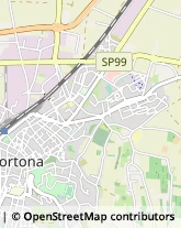 Via Virginio Arzani, 10,15057Tortona