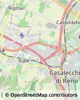 Via Edmondo De Amicis, 7,40033Casalecchio di Reno