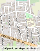 Via Don Giovanni Minzoni, 139,55100Lucca