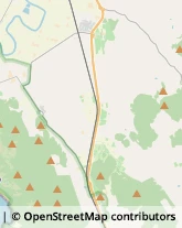 Strada Provinciale 59, 29,58010Grosseto