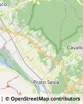 Pelletterie - Dettaglio,28077Novara