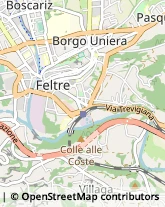 Viale Piave, 2,32032Feltre