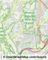 Via Pietro Maroncelli, 45,00149Roma