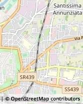 Via Giovanni Carignani, 38,55100Lucca