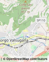 Via per Telve, 4,38051Borgo Valsugana