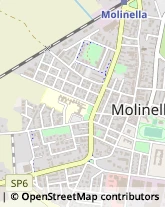 Via R. Valeriani, 25,40062Molinella