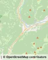 Tour Operator e Agenzia di Viaggi,38086Trento