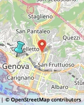 Palestre e Centri Fitness,16124Genova