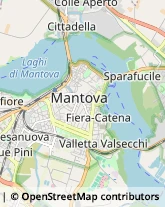 Chiesa Cattolica - Servizi Parrocchiali,46100Mantova