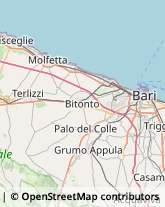 Via Brennero, 19,70124Bari