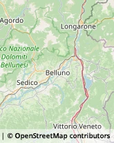 Via Feltre, 34,32036Sedico