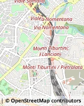 Via Rodolfo Lanciani, 54,00162Roma