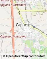 Via Valenzano, 19/A,70010Capurso