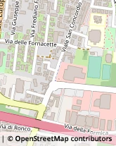 Viale San Concordio, 665,55100Lucca