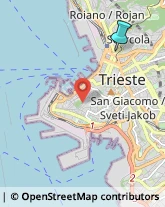 Rosticcerie e Salumerie,34134Trieste