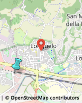 Locali, Birrerie e Pub,24035Bergamo