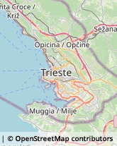 Biancheria per la casa - Dettaglio,34015Trieste