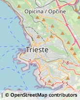 Istituti di Bellezza,34016Trieste