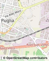 Via Pietro Nenni, 22,70037Ruvo di Puglia