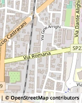 Via Romana, 335,55100Lucca