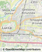 Biciclette - Dettaglio e Riparazione,55100Lucca