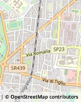 Via Romana, 421,55100Lucca