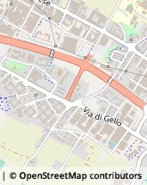 Via San Giusto, 11,59100Prato