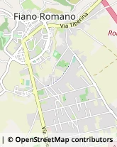 Via Palmiro Togliatti, 131/A,00065Fiano Romano