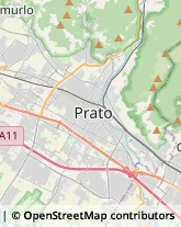 Estetiste,59100Prato