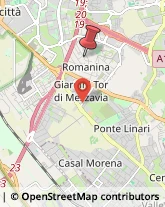 Via Raffaele Garofalo, 141,00173Roma