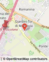 Circonvallazione Orientale, 4540,00173Roma