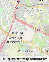 Viale Antonio Ciamarra, 45/47,00173Roma