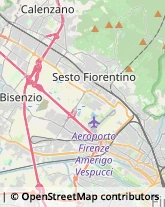 Autotrasporti,50019Firenze