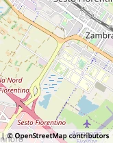 Via dell'Osmannoro, 232,50019Sesto Fiorentino