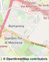 Via Gasperina, 161,00173Roma