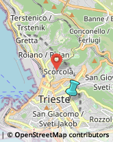 Imprese di Pulizia,34129Trieste