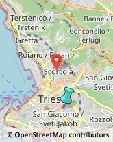 Ristoranti,34129Trieste