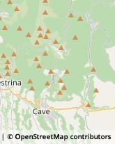 Case di Riposo e Istituti di Ricovero per Anziani,00033Roma