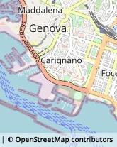 Via Corsica, 21,16128Genova