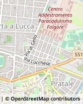 Via Francesco Rismondo, 23,56123Pisa